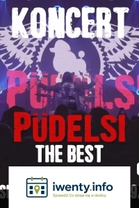 Koncert Zespołu Püdelsi