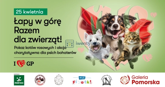 Czworonogi w roli głównej – rasowe koty, psi bohaterowie i inne atrakcje w Galerii Pomorskiej