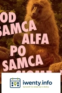 Od Samca Alfa po Samca Sigmę: alfabet najgorszych typów - spektakl impro