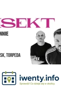 INSEKT W GDAŃSKU - PUB TORPEDA