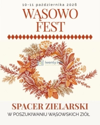 Wąsowo Fest