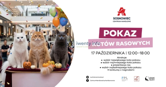Pokaz Kotów Rasowych w CH Auchan Sosnowied