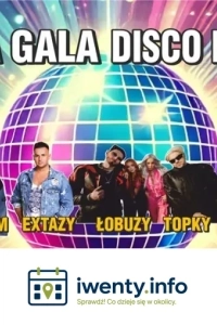 Zenon Martyniuk, Skolim, Łobuzy, Defis, Topky, Extazy, WonerS, Fox